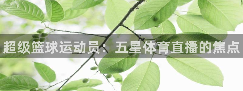 超级篮球运动员：五星体育直播的焦点