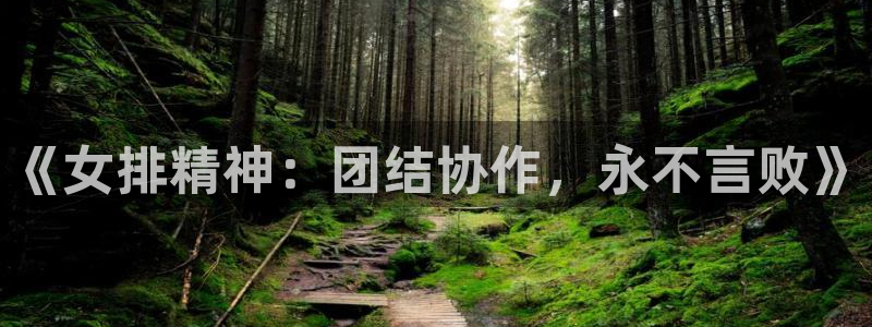 《女排精神：团结协作，永不言败》