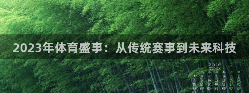 2023年体育盛事：从传统赛事到未来科技