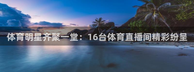 体育明星齐聚一堂：16台体育直播间精彩纷呈