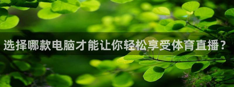 选择哪款电脑才能让你轻松享受体育直播？