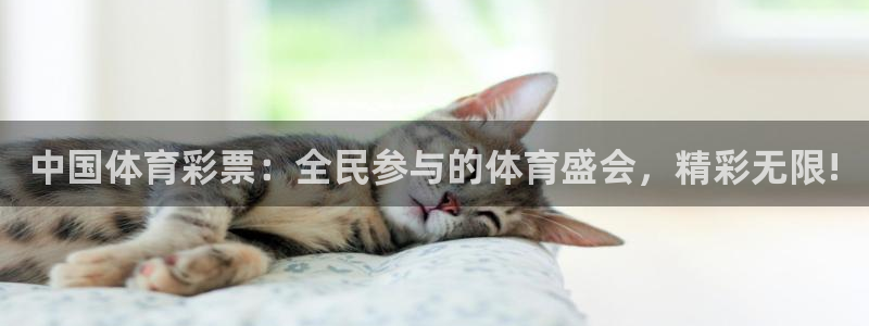 中国体育彩票：全民参与的体育盛会，精彩无限!