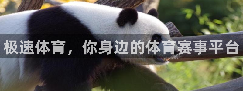 极速体育，你身边的体育赛事平台
