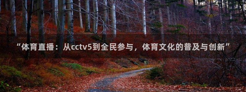 “体育直播：从cctv5到全民参与，体育文化的普及与创新”