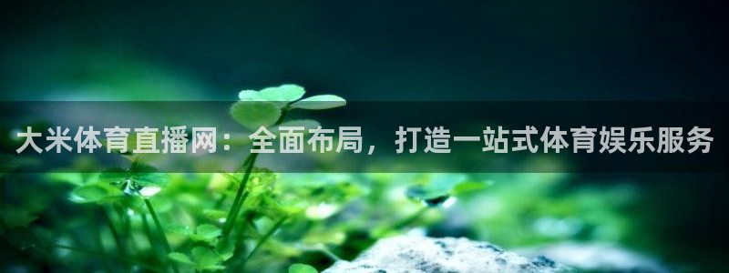 大米体育直播网：全面布局，打造一站式体育娱乐服务