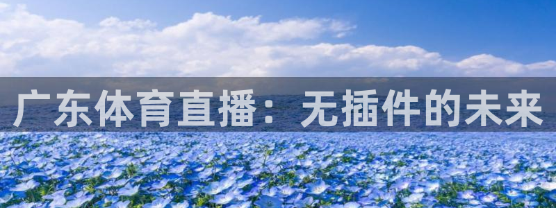 广东体育直播：无插件的未来