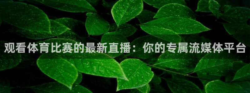 观看体育比赛的最新直播：你的专属流媒体平台