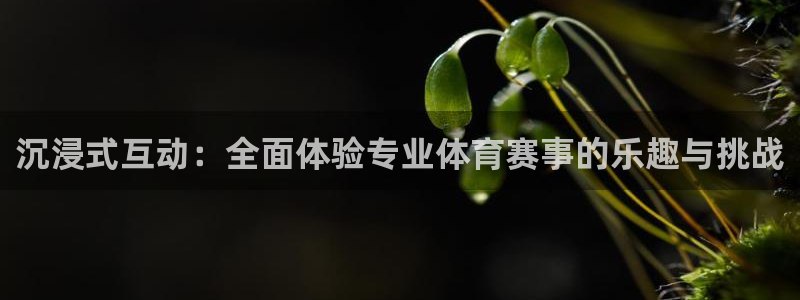 沉浸式互动：全面体验专业体育赛事的乐趣与挑战