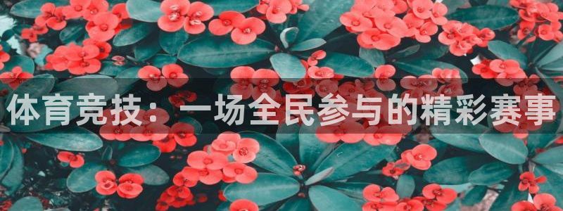 体育竞技：一场全民参与的精彩赛事