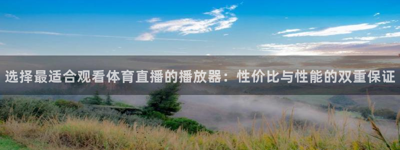 选择最适合观看体育直播的播放器：性价比与性能的双重保证