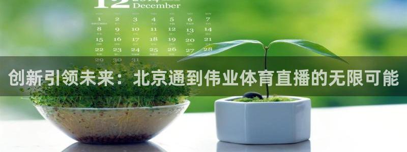 创新引领未来：北京通到伟业体育直播的无限可能