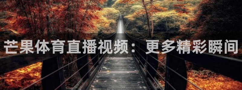 芒果体育直播视频：更多精彩瞬间