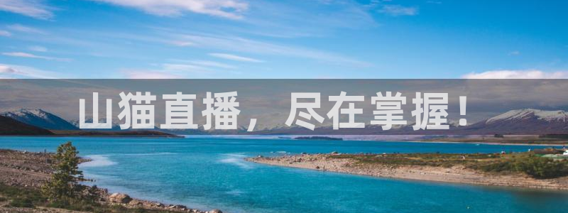 山猫直播，尽在掌握！