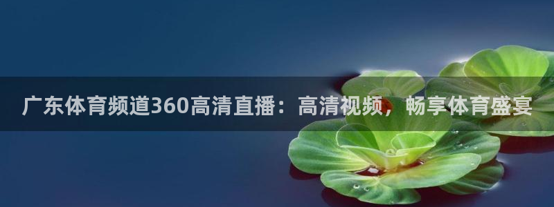 广东体育频道360高清直播：高清视频，畅享体育盛宴
