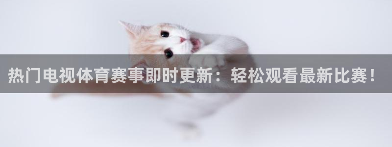 热门电视体育赛事即时更新：轻松观看最新比赛！