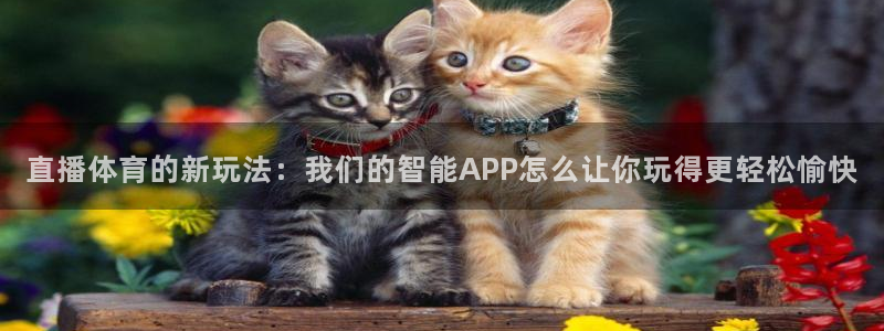 直播体育的新玩法：我们的智能APP怎么让你玩得更轻松愉快