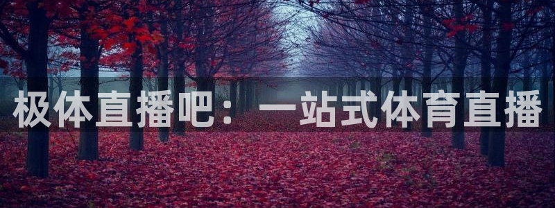 极体直播吧：一站式体育直播
