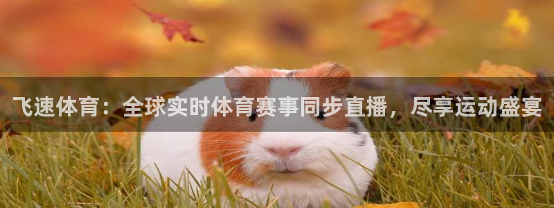 飞速体育：全球实时体育赛事同步直播，尽享运动盛宴