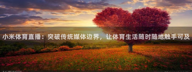 小米体育直播：突破传统媒体边界，让体育生活随时随地触手可及
