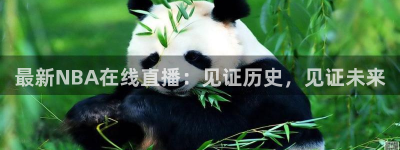 最新NBA在线直播：见证历史，见证未来