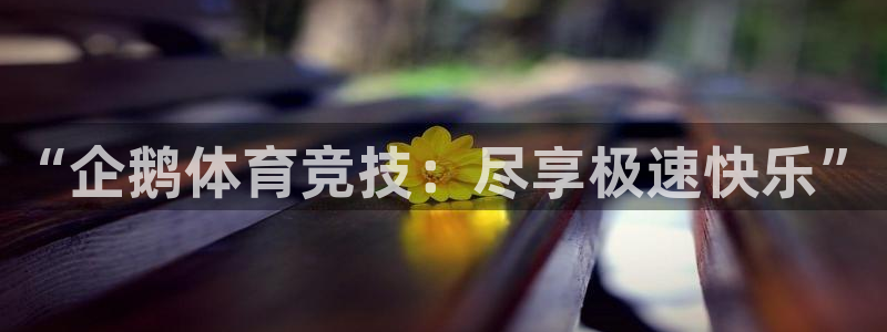 “企鹅体育竞技：尽享极速快乐”