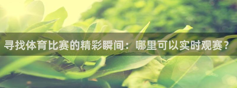 寻找体育比赛的精彩瞬间：哪里可以实时观赛？