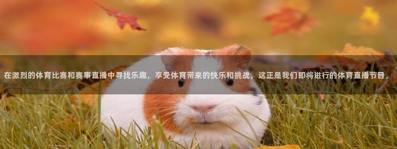 在激烈的体育比赛和赛事直播中寻找乐趣，享受体育带来的快乐和挑战，这正是我们即将进行的体育直播节目。