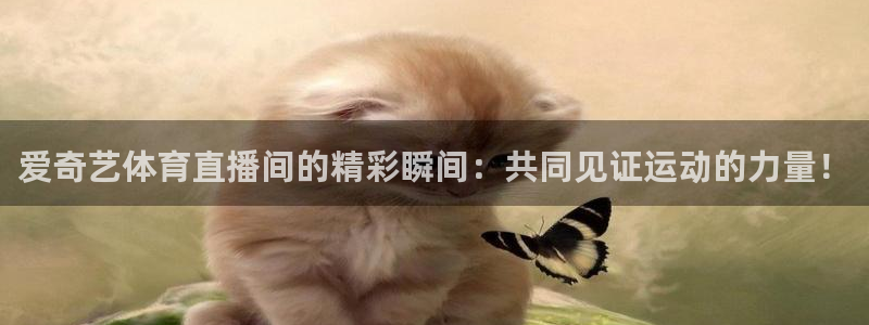爱奇艺体育直播间的精彩瞬间：共同见证运动的力量！