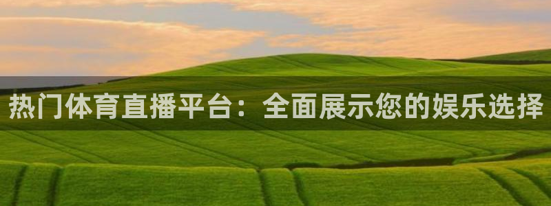 热门体育直播平台：全面展示您的娱乐选择