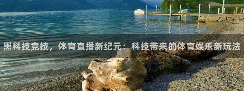 黑科技竞技，体育直播新纪元：科技带来的体育娱乐新玩法