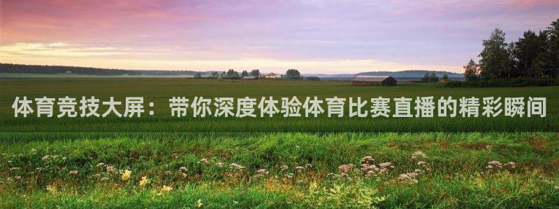 体育竞技大屏：带你深度体验体育比赛直播的精彩瞬间