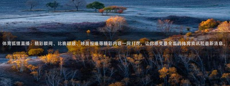 体育狐狸直播：精彩瞬间、比赛回顾、球员报道等精彩内容一网打尽，让你感受最全面的体育资讯和最新消息。