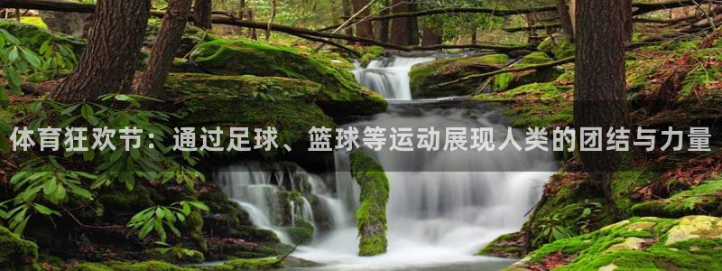 体育狂欢节：通过足球、篮球等运动展现人类的团结与力量