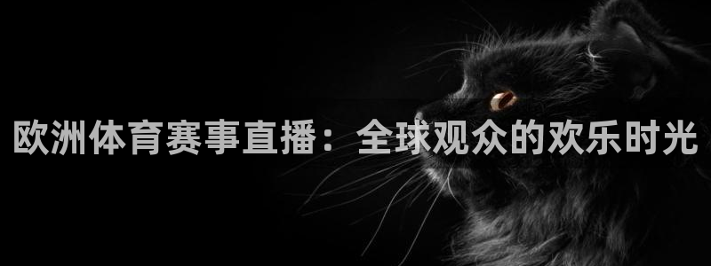 欧洲体育赛事直播：全球观众的欢乐时光